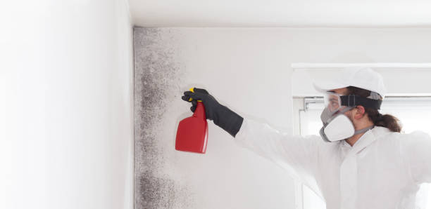 Best Industrial Mold Remediation in Winterville, GA